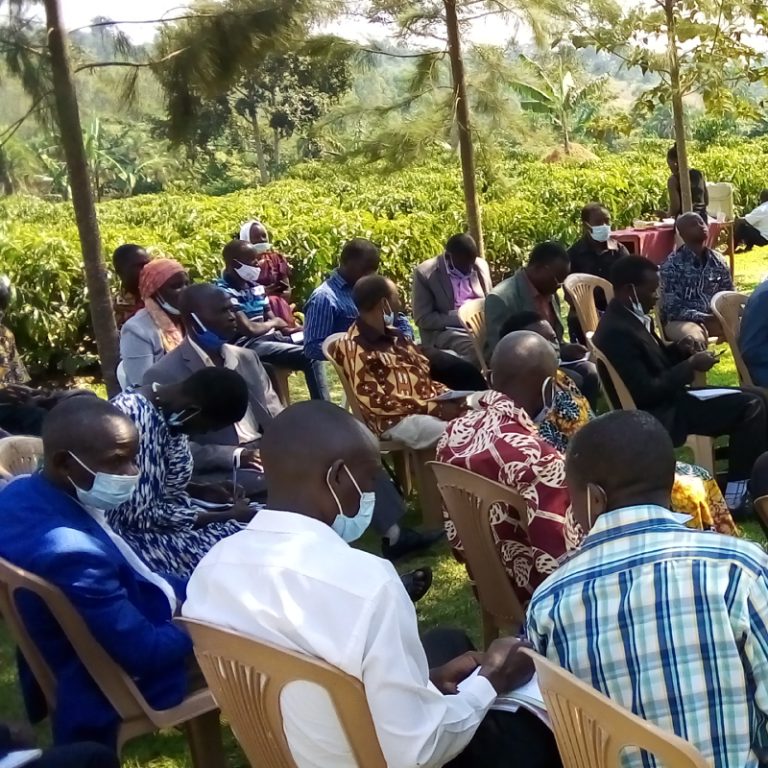 CAPCA Coffee Cultivation Support