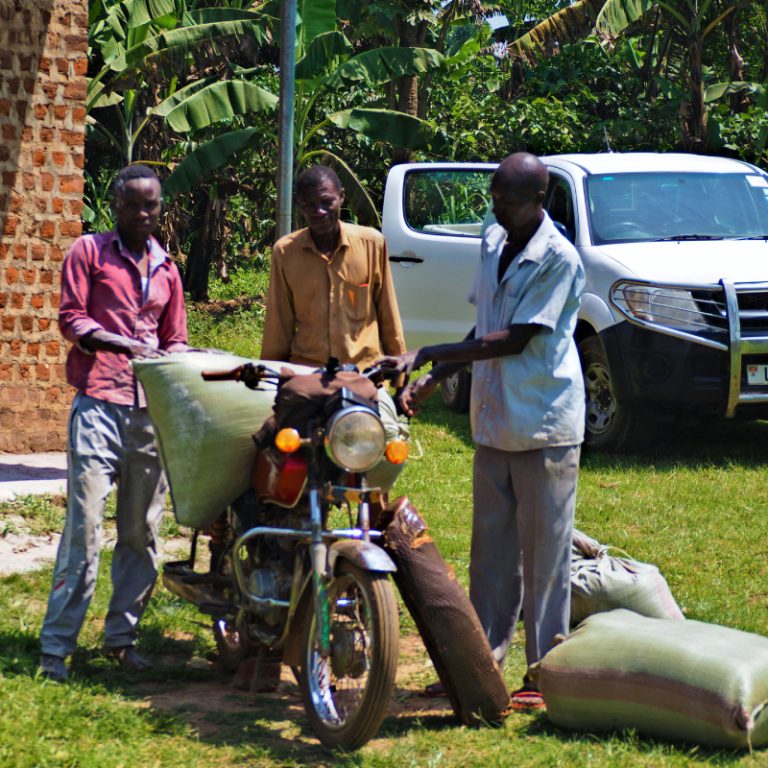 WHY SMALL SCALE FARMERS SHOULD MARKET THEIR PRODUCTS COLLECTIVELY