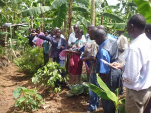 Support Households to engage in sustainable agricultural production